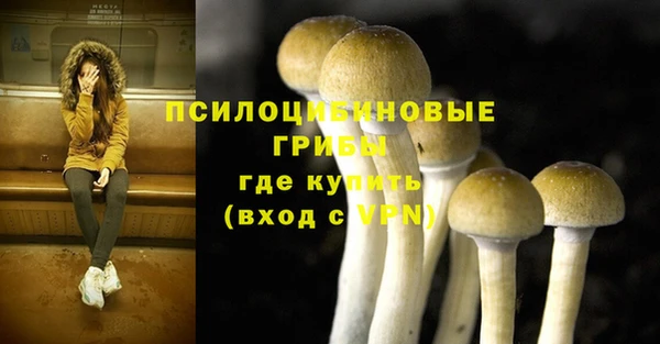COCAINE Бородино