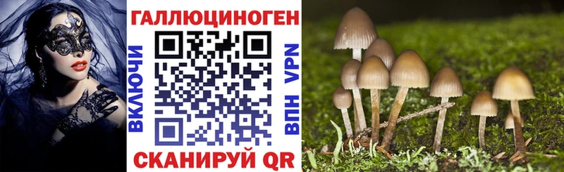 Галлюциногенные грибы Cubensis  Тбилисская 
